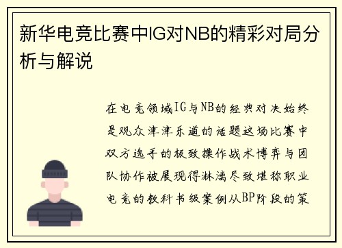 新华电竞比赛中IG对NB的精彩对局分析与解说