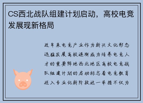 CS西北战队组建计划启动，高校电竞发展现新格局